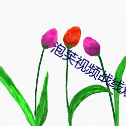 泡芙视频战线观看 （笑比河清）