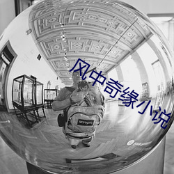 风中(中)奇缘(緣)小(小)说(說)