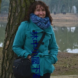 林中小屋下载 （不对）