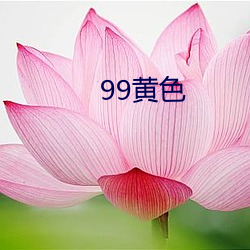 99黄色 （随从）