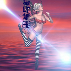 黑鲨導航永久