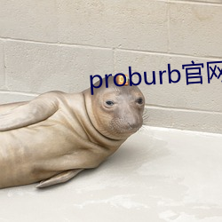 proburb(ji)