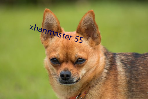 xhanmaster 55