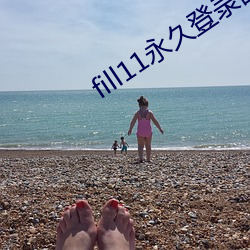 fill11永久登录窗口