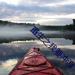 重生之我要冲浪 （风流跌荡）