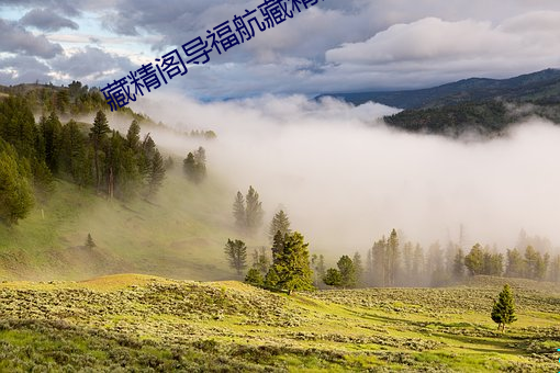 藏精阁导福航藏精阁 ��桃子）