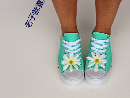 老子就喜欢c你po