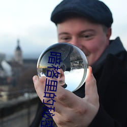 暗格裏的秘密電視劇在線觀