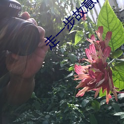走一步故意深(shēn)深(shēn)地撞咬合
