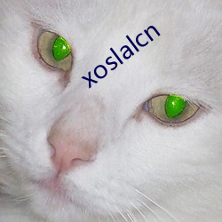 xoslalcn