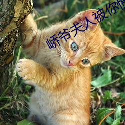 suncitygroup太阳集团--官方网站
