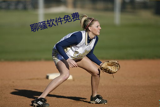 聊骚(sāo)软件免费