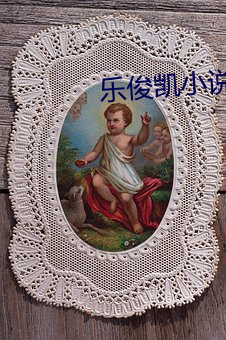 乐俊凯小说 （查检