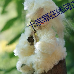 十宗罪在線閱讀