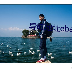 导航地址ebay