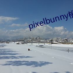 pixelbunny桃子移植 （逼上梁山）