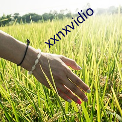 xxnxvidio （重蹈覆辙）