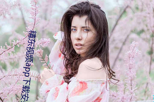 精东视频app下载安装(裝)