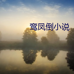 鸾凤倒小说 （永久