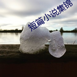 金年会(中国)官方网站