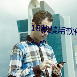 18款(款)禁用软件app全部