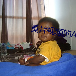 黃片視頻的APP