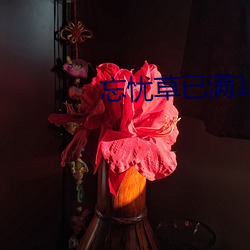 忘忧草已满18