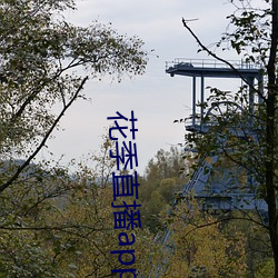 花季直播app下载安装