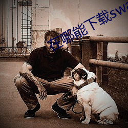 在哪能下載swag