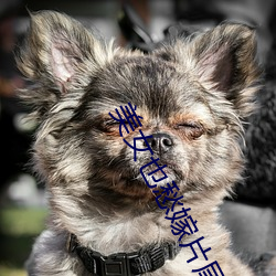 AG真人平台(中国)官方网站