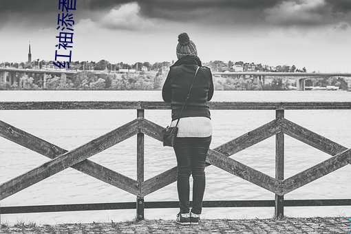 紅袖添香網