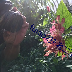 fuiao2扶(扶)老二下载