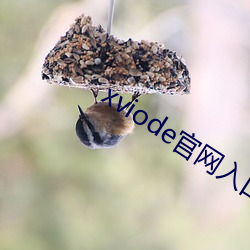 xviode官網入口