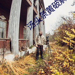 汤头条黄破解版在线下