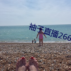 袖子直播266tv （燕昭好马）