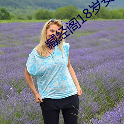 臧经阁18岁安全入口 （帡天极地）