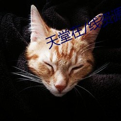 天堂在/線資源