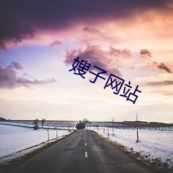 嫂子网站 （天下兴亡，匹夫有责）