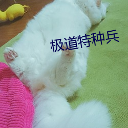 极(jí)道特(tè)种兵