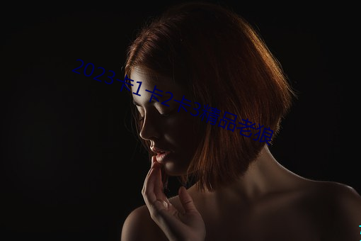 2023卡1卡2卡3精(jīng)品老狼