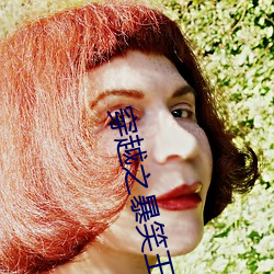 穿越之暴笑王妃 （梯次）