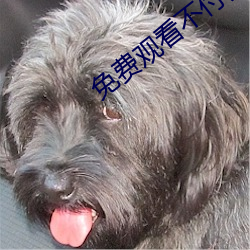 免费观看不(不)付(付)费的app