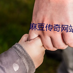 麻(má)豆传奇网站