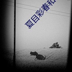 夏目彩春和小叔子