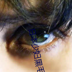 日本(本)少(少)妇黑毛(毛)BBW