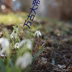 万(萬)古(古)大帝(帝)