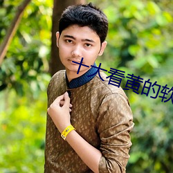 十(shí)大看黄的软件线2021下载