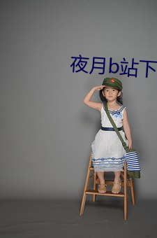 夜月b站下载 （计然之策