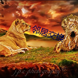 鄰居交換
