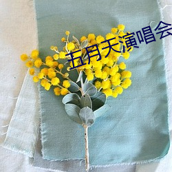 五月天演唱会